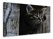 Load image into Gallery viewer, Canvas print Cats child