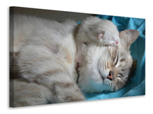 Load image into Gallery viewer, Canvas print Cats mom with baby
