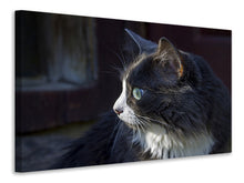 Load image into Gallery viewer, Canvas print Cat's head XL