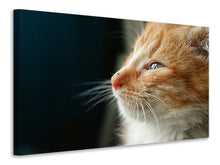 Load image into Gallery viewer, Canvas print Kitten nose
