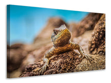Load image into Gallery viewer, Canvas print Little alligator