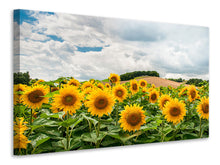 Load image into Gallery viewer, Canvas print Landscape with sunflowers