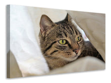 Load image into Gallery viewer, Canvas print Favorite cat