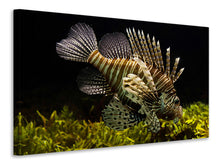 Load image into Gallery viewer, Canvas print Lion fish