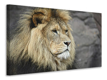 Load image into Gallery viewer, Canvas print Lion head XL