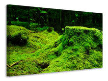 Load image into Gallery viewer, Canvas print Moss in the forest
