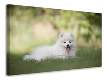 Load image into Gallery viewer, Canvas print Cute spitz puppy