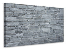 Load image into Gallery viewer, Canvas print Noble wall