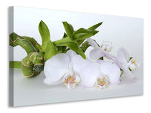 Load image into Gallery viewer, Canvas print Orchid and bamboo