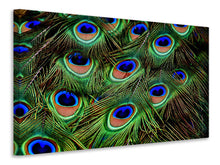 Load image into Gallery viewer, Canvas print Peacock feathers XXL