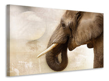 Load image into Gallery viewer, Canvas print Portrait of an elephant