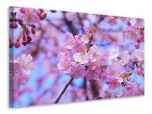 Load image into Gallery viewer, Canvas print Gorgeous cherry blossom