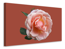 Load image into Gallery viewer, Canvas print Rose in pink XXL 2