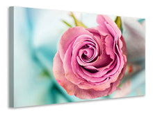 Load image into Gallery viewer, Canvas print Roseblossom in pink