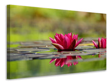 Load image into Gallery viewer, Canvas print Red water lily duo