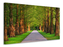 Load image into Gallery viewer, Canvas print Beautiful avenue in nature