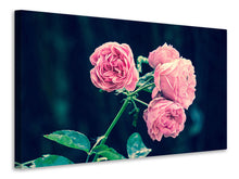 Load image into Gallery viewer, Canvas print Beautiful pink roses