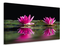 Load image into Gallery viewer, Canvas print Water Lilies Duo in pink