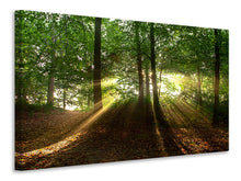 Load image into Gallery viewer, Canvas print Sun in the forest