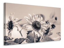 Load image into Gallery viewer, Canvas print Sunflowers sw