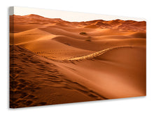 Load image into Gallery viewer, Canvas print Traces in the desert