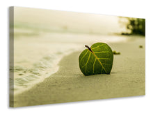 Load image into Gallery viewer, Canvas print Beach leaf