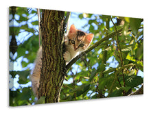 Load image into Gallery viewer, Canvas print Cute cat child
