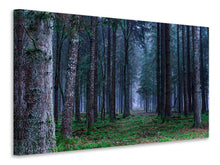 Load image into Gallery viewer, Canvas print Fir trees forest