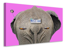 Load image into Gallery viewer, Canvas print Animal locomotion