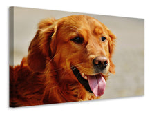 Load image into Gallery viewer, Canvas print faithful soul