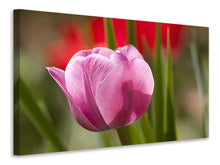 Load image into Gallery viewer, Canvas print Tulip pretty in pink