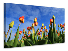 Load image into Gallery viewer, Canvas print Tulips tower to the sky