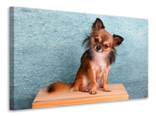 Load image into Gallery viewer, Canvas print Typical Chihuahua