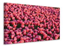 Load image into Gallery viewer, Canvas print Lush tulip field