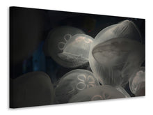 Load image into Gallery viewer, Canvas print Eerie jellyfish