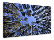 Load image into Gallery viewer, Canvas print Under high treetops