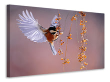 Load image into Gallery viewer, Canvas print Bird in action