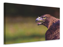 Load image into Gallery viewer, Canvas print Watchful eagle