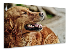 Load image into Gallery viewer, Canvas print Watchful Irish setter