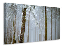 Load image into Gallery viewer, Canvas print Forest in winter