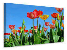 Load image into Gallery viewer, Canvas print Wild tulips