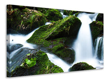 Load image into Gallery viewer, Canvas print Wild waterfall