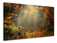 Load image into Gallery viewer, Canvas print We love autumn