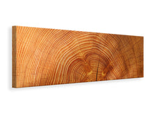 Load image into Gallery viewer, Panoramic Canvas Print tree rings