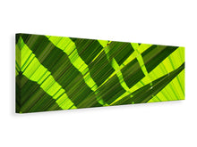 Load image into Gallery viewer, Panoramic Canvas Print The palm leaf in XL