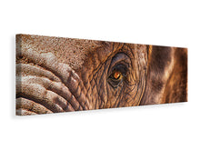 Load image into Gallery viewer, Panoramic Canvas Print The look of the elephant
