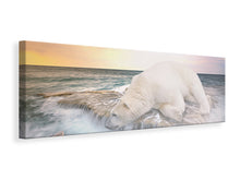 Load image into Gallery viewer, Panoramic Canvas Print The polar bear and the sea