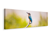 Load image into Gallery viewer, Panoramic Canvas Print The kingfisher