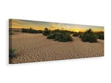 Load image into Gallery viewer, Panoramic Canvas Print The drought