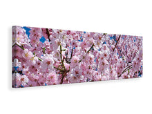 Load image into Gallery viewer, Panoramic Canvas Print The Japanese cherry